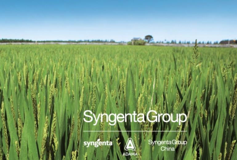 Syngenta Group pirmasis pusmetis – finansiškai stiprus
