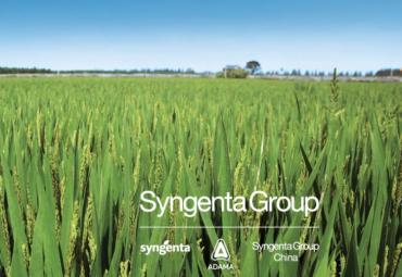 Susivienijo: po Syngenta Group stogu trys įmonės